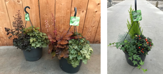 dienen Monarchie Klik Tuincentrum de zonnebloem